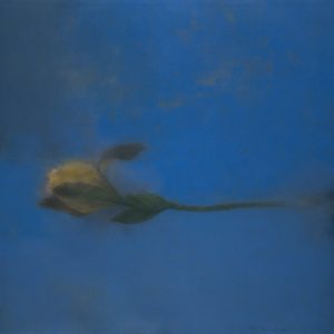 Untitled15