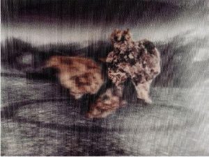 Hot sunshine on gelatin