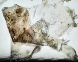 Hot sunshine on gelatin2