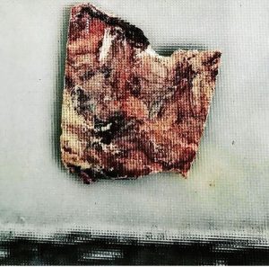 Hot sunshine on gelatin3