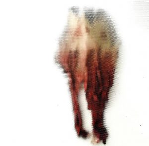 Hot sunshine on gelatin4