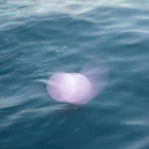 Balloon and Sea