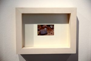 لیلا جوینده5