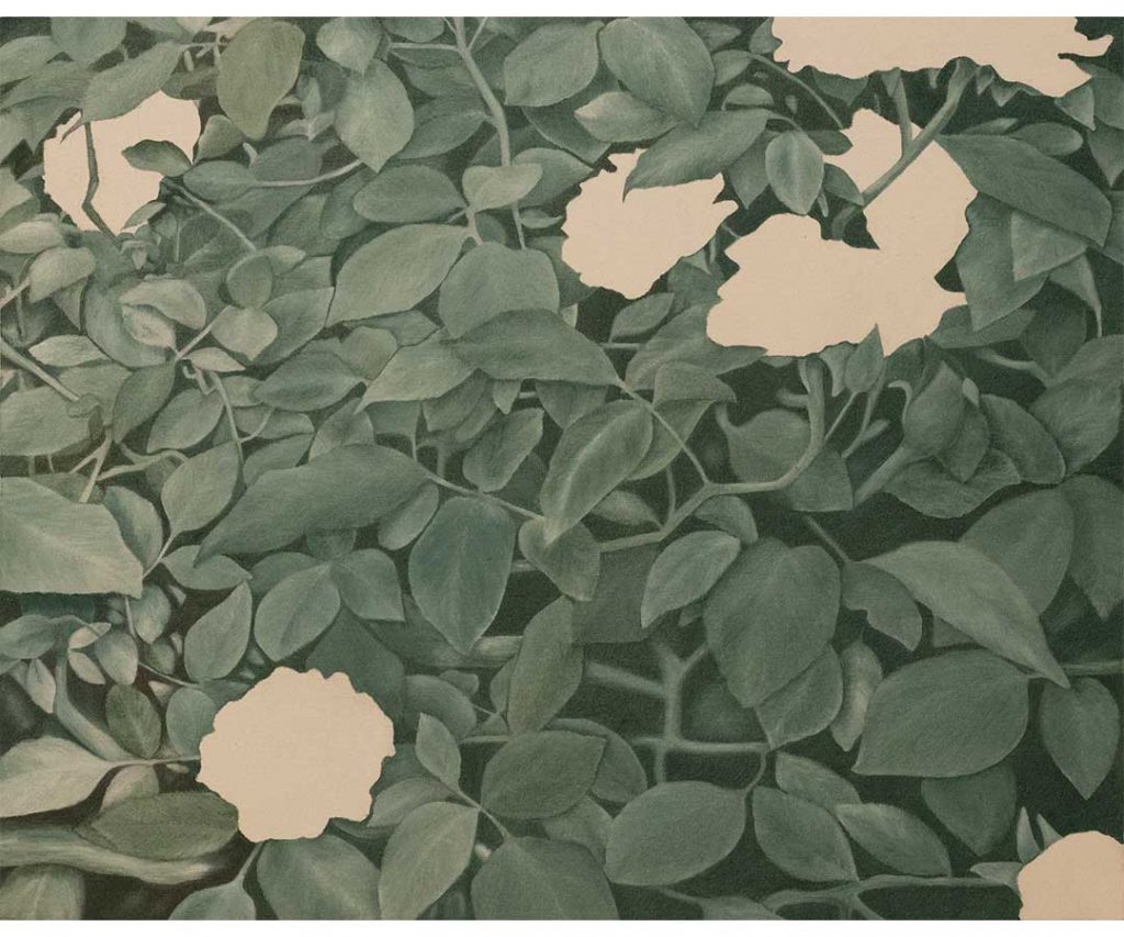 برگ لایه ها-میلاد پورحقگو